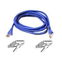 ethernet cable