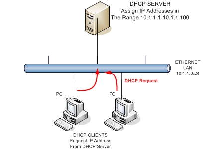http://www.networkingreviews.com/images/dhcp-server-client.jpg