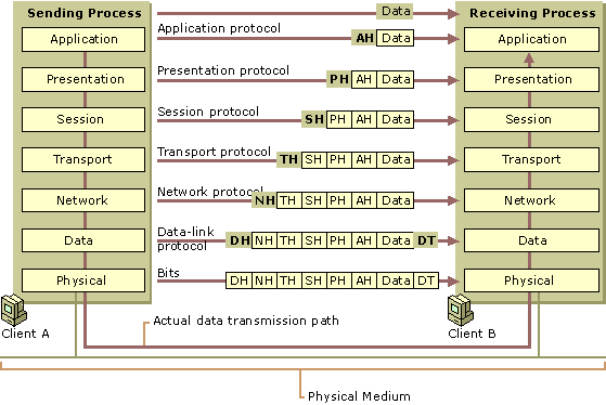 osi model data flow